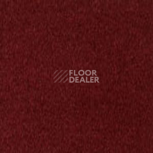 Ковролин Infloor Coronado 150 150 фото 1 | FLOORDEALER