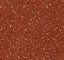 Ковролин Vorwerk Passion 1047 Vorwerk 1n15 фото 1 | FLOORDEALER