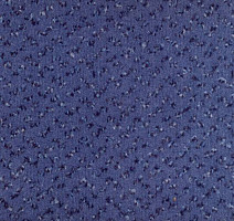 Ковролин Vorwerk Allegro 3h58 фото 1 | FLOORDEALER