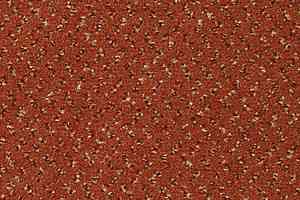 Ковролин Vorwerk Passion 1047 Vorwerk 1n15 фото  | FLOORDEALER