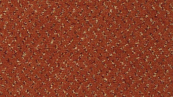 Ковролин Vorwerk Passion 1047 Vorwerk 1n15 фото 1 | FLOORDEALER