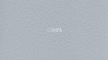 Линолеум Taraflex Performance Uni 6758_Silver_Gray фото 1 | FLOORDEALER