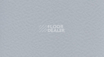Линолеум Gerflor Taraflex Performance Uni 6758_Silver_Gray фото 1 | FLOORDEALER