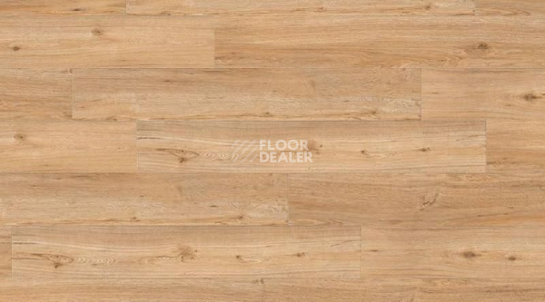 Кварцвиниловые полы Creation 55 Looselay 0347_Ballerina фото 1 | FLOORDEALER