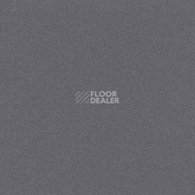 Линолеум Tarkett iq Melodia 2604 фото 1 | FLOORDEALER