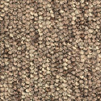 Ковролин Balsan Santa Fe DD Santa Fe dd 750 фото 1 | FLOORDEALER