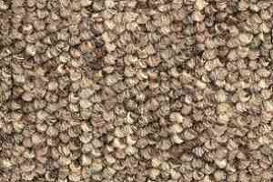 Ковролин Balsan Santa Fe DD Santa Fe dd 750 фото  | FLOORDEALER