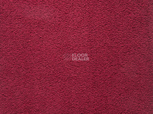 Ковролин ITC Natural Embrace Natural Embrace 16 фото 1 | FLOORDEALER