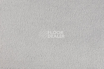 Ковролин Vorwerk Passion 1000/Modena Vorwerk 5t10 фото 1 | FLOORDEALER