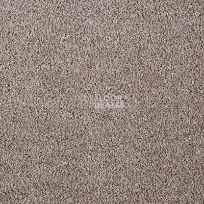 Ковролин AW Dali 39 фото 1 | FLOORDEALER