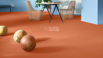 Vorwerk Superior 1049 Vorwerk 2f49 фото 2 | FLOORDEALER
