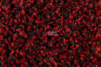 Forbo Coral Bright 2603 Vivid Earth фото 4 | FLOORDEALER