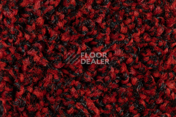 Forbo Coral Bright 2603 Vivid Earth фото 4 | FLOORDEALER