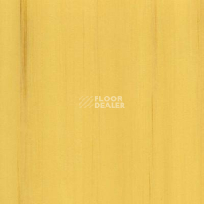 Линолеум Lino Fatra DUAL 414 фото 1 | FLOORDEALER