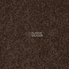Ковролин Shaw Design Texture Platinum 724 фото 1 | FLOORDEALER