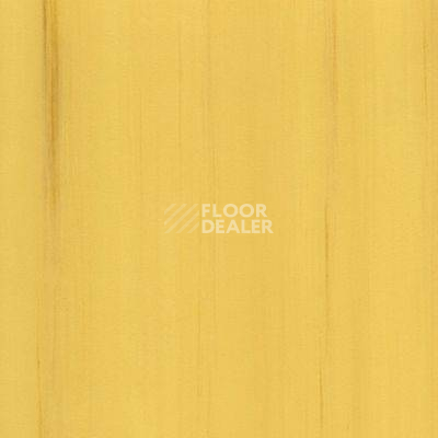 Линолеум Lino Fatra DUAL 414 фото 1 | FLOORDEALER