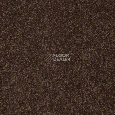 Ковролин Shaw Design Texture Platinum 724 фото 1 | FLOORDEALER