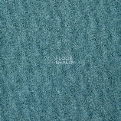 Ковролин Big Splendor 898 фото 1 | FLOORDEALER