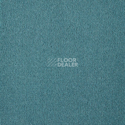 Ковролин Big Splendor 898 фото 1 | FLOORDEALER