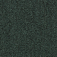 Ковролин Salisbury Beaulieu of America 318 фото 1 | FLOORDEALER