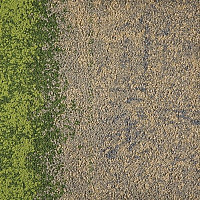 Ковровая плитка Interface Urban Retreat One 101/102/103 ur 101 327114 Flax / Grass фото 1 | FLOORDEALER