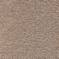 Ковролин AW Sophistication 34 фото 1 | FLOORDEALER