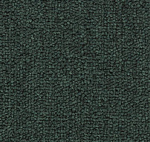 Ковролин Salisbury Beaulieu of America 318 фото 1 | FLOORDEALER