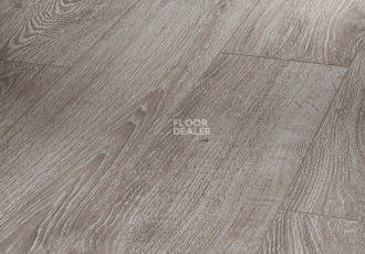 Ламинат Parador Basic Plus 200 V 1594000 Дуб Светло-серый фото 1 | FLOORDEALER