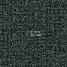 Ковролин Salisbury Beaulieu of America 318 фото 1 | FLOORDEALER