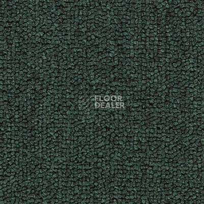 Ковролин Salisbury Beaulieu of America 318 фото 1 | FLOORDEALER