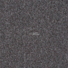 Tarkett Star Star 37587 фото 1 | FLOORDEALER