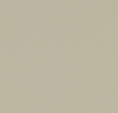 Линолеум Forbo Marmoleum Decibel on Order 337835 stucco фото 1 | FLOORDEALER