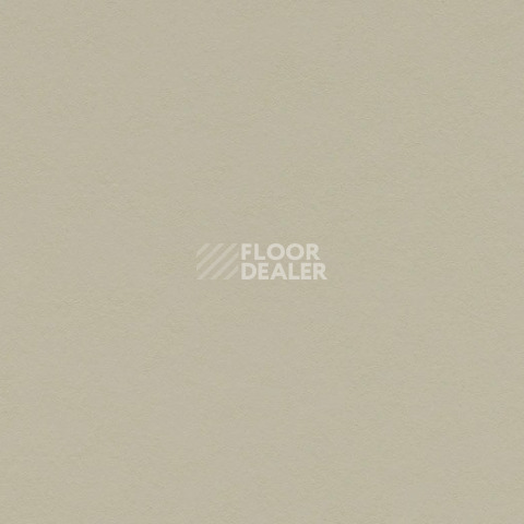 Линолеум Forbo Marmoleum Decibel on Order 337835 stucco фото 1 | FLOORDEALER