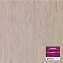 Линолеум Tarkett Standart Plus 911  | FLOORDEALER