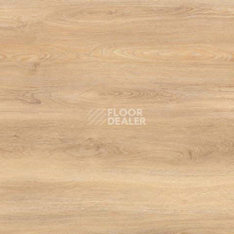 Ламинат Kronotex Exquisit Plus d80272 Дуб Аванто Натур фото 1 | FLOORDEALER