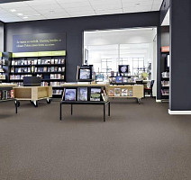 Tessera Basis 372 Seal фото 2 | FLOORDEALER