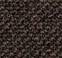 Ковролин Carpet Concept Eco Cut 60277 фото 1 | FLOORDEALER