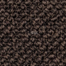 Carpet Concept Eco Cut 60277 фото 1 | FLOORDEALER