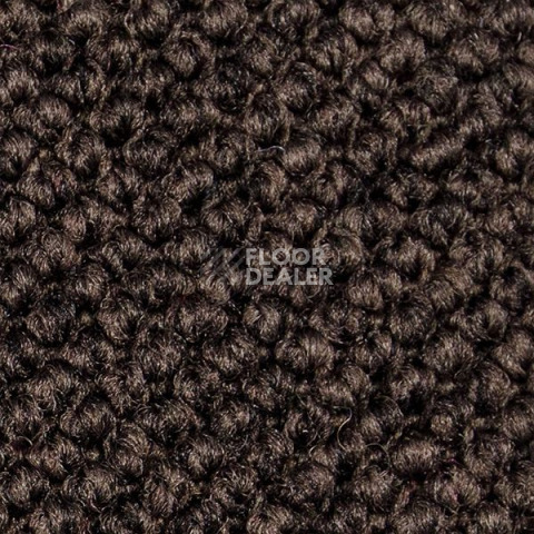 Ковролин Carpet Concept Eco Cut 60277 фото 1 | FLOORDEALER