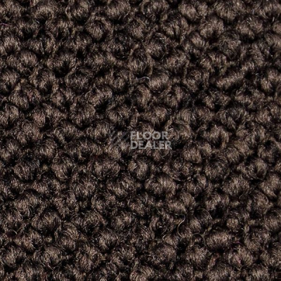 Ковролин Carpet Concept Eco Cut 60277 фото 1 | FLOORDEALER