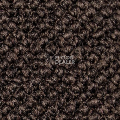 Ковролин Carpet Concept Eco Cut 60277 фото 1 | FLOORDEALER