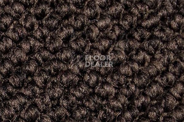 Ковролин Carpet Concept Eco Cut 60277 фото 1 | FLOORDEALER