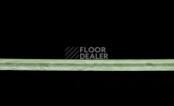Tarkett iq Melodia 2640 фото 4 | FLOORDEALER