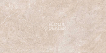 Керамогранит Arles 60X120 Arles Blanco 60X120 REC фото 1 | FLOORDEALER
