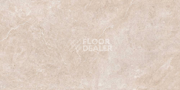 Керамогранит Arles 60X120 Arles Blanco 60X120 REC фото 1 | FLOORDEALER