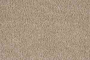 Ковролин Big Rose 305 фото  | FLOORDEALER