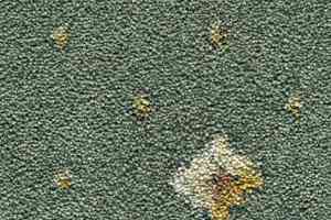 Ковролин Condor Carpets Asia 163 фото  | FLOORDEALER