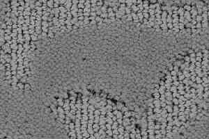 Ковролин Balsan Cheverny 920 фото  | FLOORDEALER