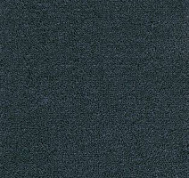 Ковролин AW Emerald 74 фото 1 | FLOORDEALER