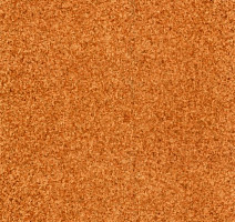 Линолеум Grabo Terrana Top Extra 4327-263 фото 1 | FLOORDEALER